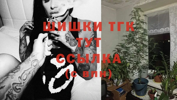 ешки Алзамай