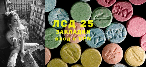 эйфоретик Аркадак