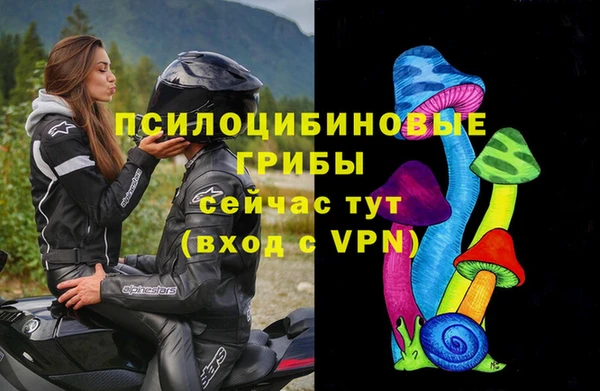 эйфоретик Аркадак