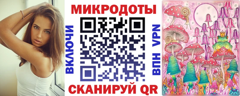 Галлюциногенные грибы Psilocybe  Бабаево 